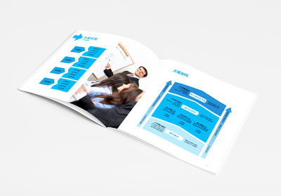 上海IDB企業(yè)管理咨詢宣傳冊設(shè)計